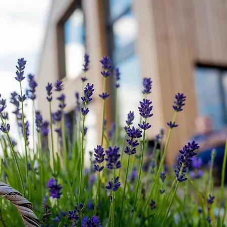 Stodola Majolka- Kameralny Dom Z Balia W Izerach *