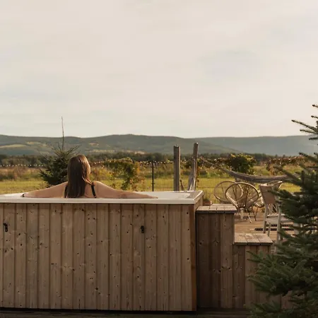 Majołka- Kameralna Stodoła W Izerach Na Wynajem Mirsk